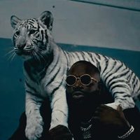 @richforever profile picture