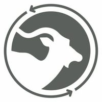 @runaroundrunning profile picture