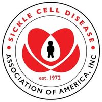 @scdaa profile picture