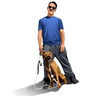 @scoobandi profile picture