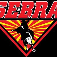 @sebrabull profile picture