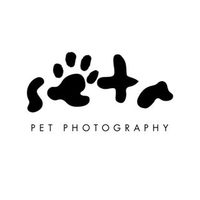 @seta_pet_studio profile picture