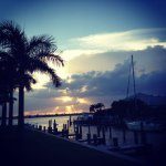 @singerislandscenes profile picture