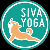 @siva_yoga_studio