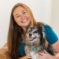 @smilesdogtraining profile picture