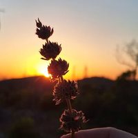 @solaracresoffgrid