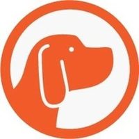 @spotdogwalkers profile picture