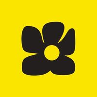 @staygoldenhi profile picture