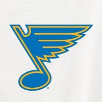 @stlouisblues profile picture