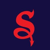 @stlouiswings profile picture