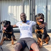 @stormzy profile picture