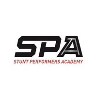 @stuntperformersacademy profile picture