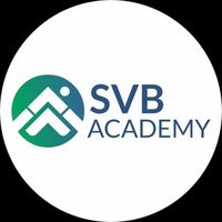 @svb.academy profile picture