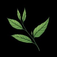 @tealeaf.collective profile picture
