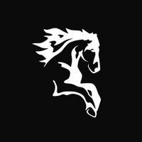 @terragauchausa profile picture