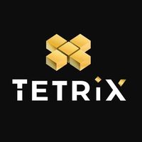 @tetrix_digital_marketing profile picture