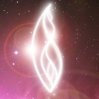 @the.sound.healer profile picture