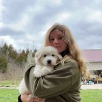 @the_homestead_family