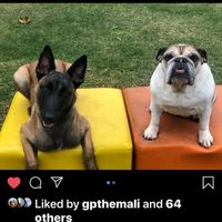 @thebullysquad profile picture