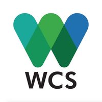 @thewcs profile picture