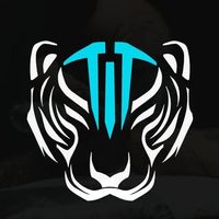 @tigertattoosfl profile picture