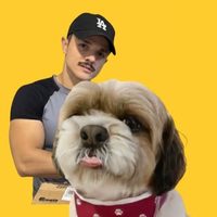 @tobby_lhasaapso