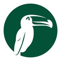 @toucanabroad profile picture