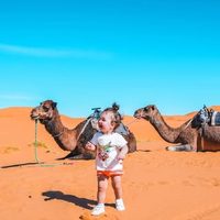 @travelwith.kids profile picture