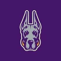 @ualbanysports profile picture