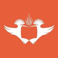 @uj_accountancy profile picture
