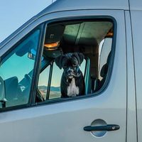 @vanlifecorp
