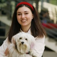 @veronika_music_teacher profile picture