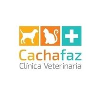@veterinaria.cachafaz profile picture