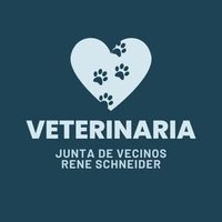 @veterinaria_paulina profile picture