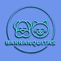@veterinariabarranquitas profile picture