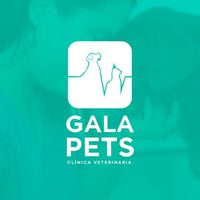 @veterinariagala profile picture