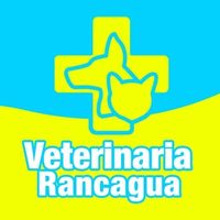 @veterinariarancaguaa profile picture
