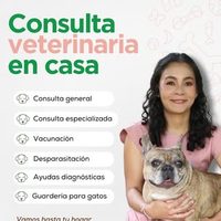 @veterinariasanar profile picture