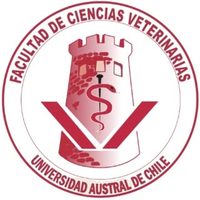 @veterinariauach profile picture