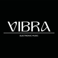 @vibra.electronicmusic profile picture