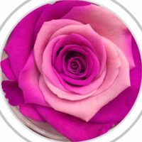 @wallpaper_kuwait57 profile picture