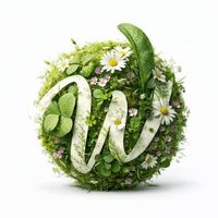 @webcase.design profile picture