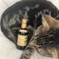 @whisky1113