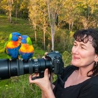 @wildlife.raynsue profile picture
