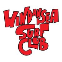 @windanseasurfclub profile picture
