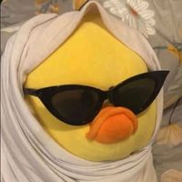 @wtw.stl profile picture