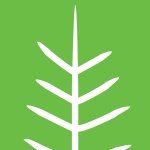 @yogaeastaustin